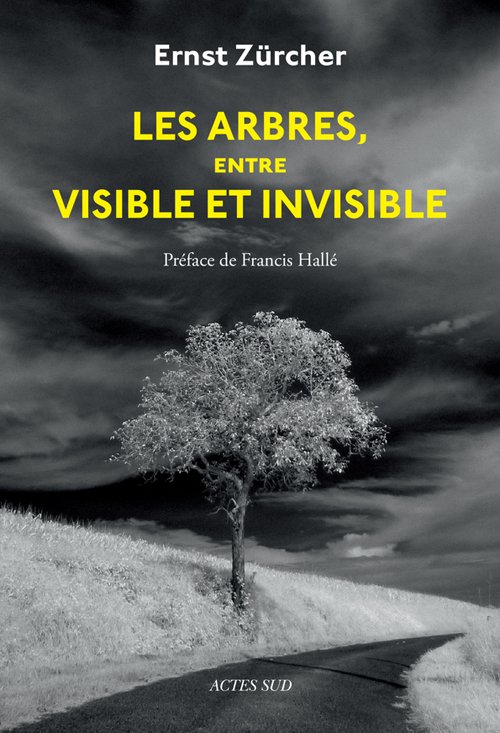 ActesSud's tweet photo. Ernst Zürcher, expert en langue des bois https://t.co/oAUBHMlREu
https://t.co/N3KIpy2Usn
#arbre #biologie #agroforesterie #savoirsanciens https://t.co/Q3LWR4w5pA