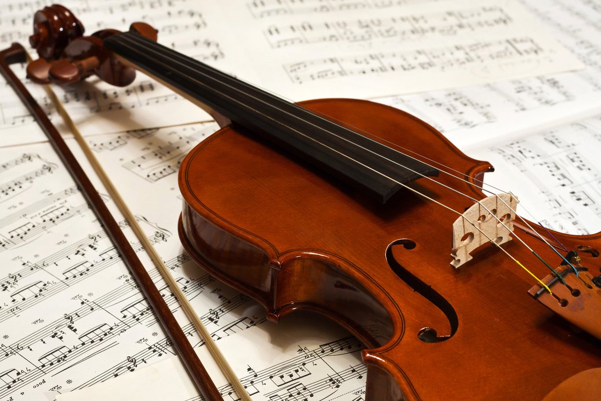 News24's tweet photo. Highly strung: woman held in Japan over claim she wrecked ex's 54 violins https://t.co/PkN2iu1Go2 https://t.co/B517uQZBeE