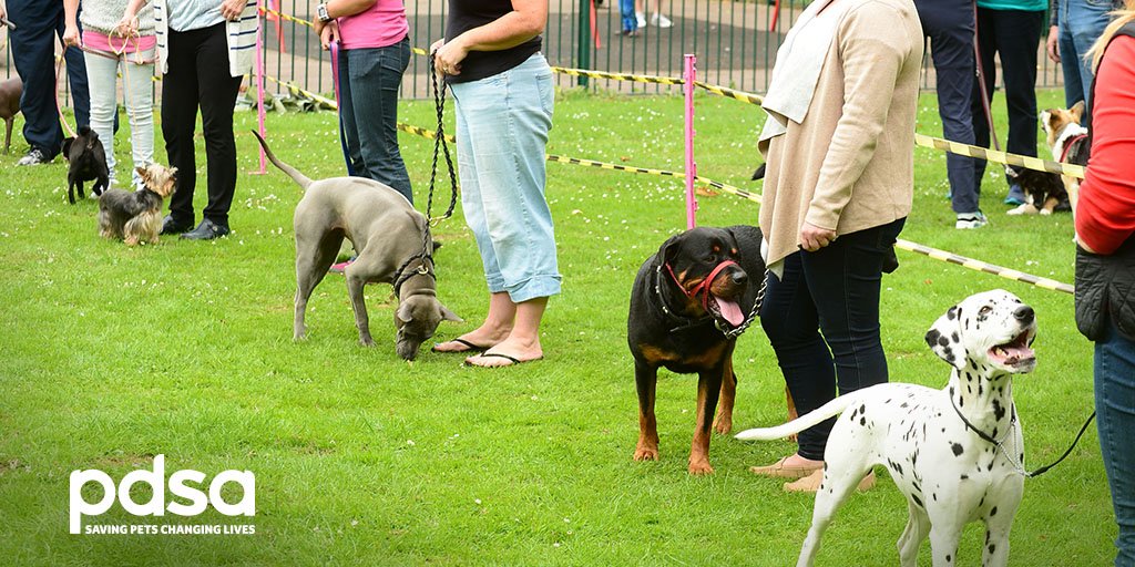 PDSA_HQ's tweet photo. Everybody needs good neighbours and dogs make us better ones – we’re with @MeltonBC walking our dogs and making friends! #PetsForGood https://t.co/GQa2R7eXmE