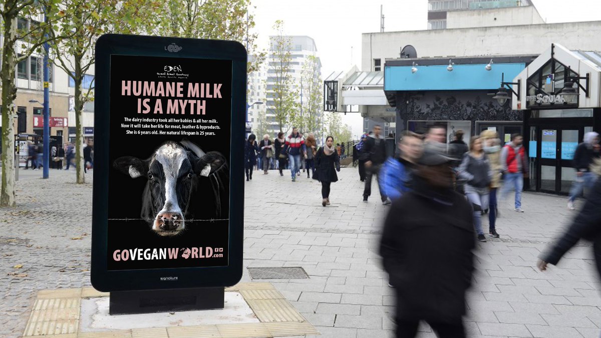 VegRecipeClub's tweet image. Here is one of our latest articles about the ASA ruling on the Go Vegan World 'humane milk is a myth' poster! ow.ly/vLzB30dVMRR