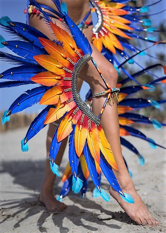 RevelNationCarnival tweet media