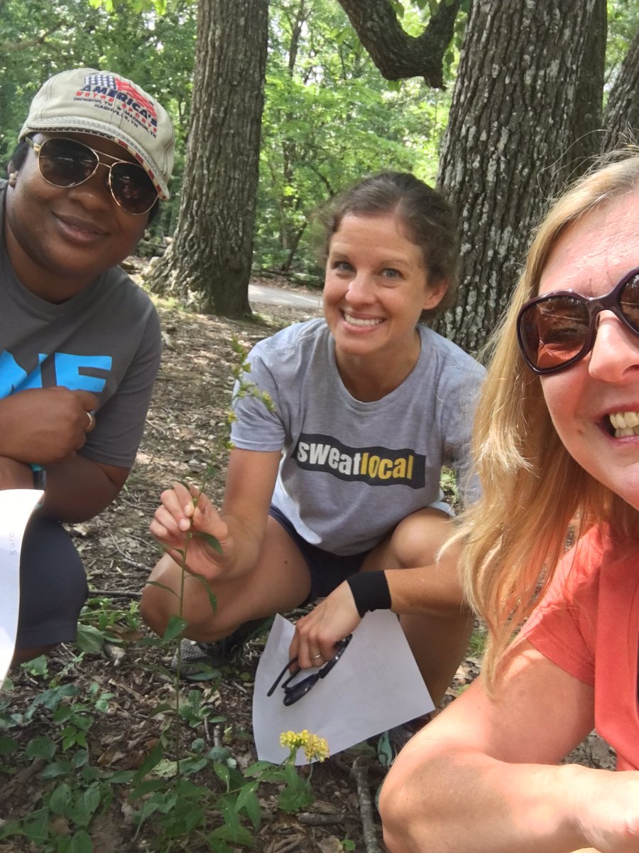 Lovely wildflower #teams #cesteach