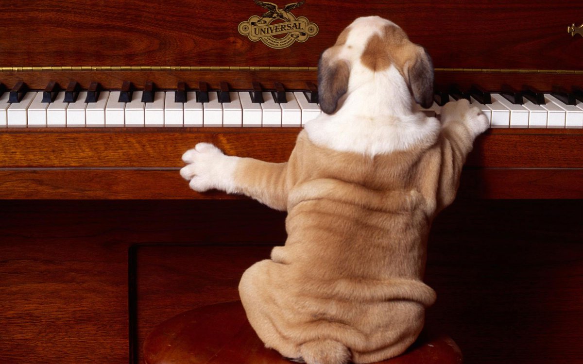 tolstudios's tweet photo. #PrivateMusicLessonsGreenwoodIN #KidsToAdults #PianoLessons #EveryMusicianStartsSomewherePlayYourFirstNoteHere 
https://t.co/qDqEh2F6vF https://t.co/VS9qAz3AMu