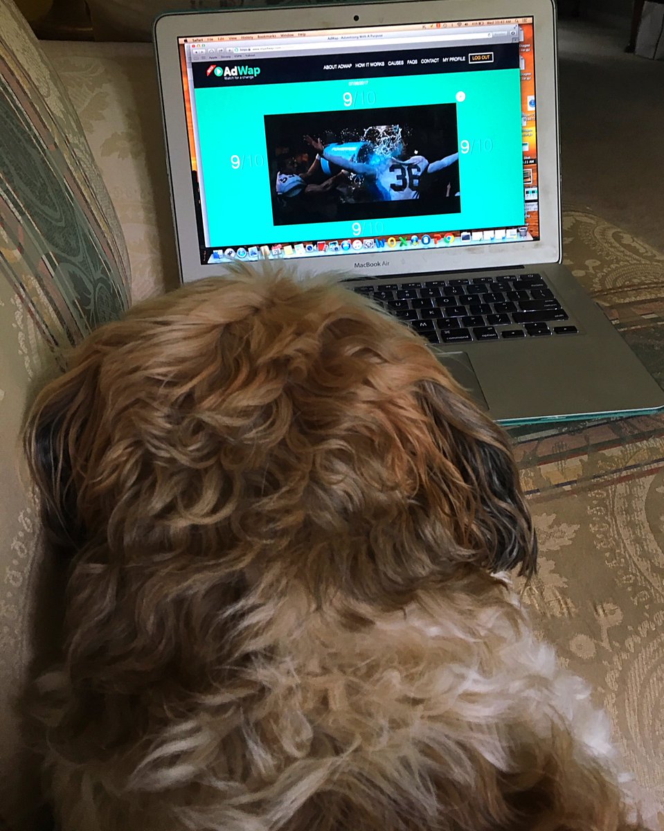 myadwap's tweet photo. Watch with a purpose to help @K94Kids bring canines and kids together #WatchforaChange https://t.co/nppCmtb3Kd