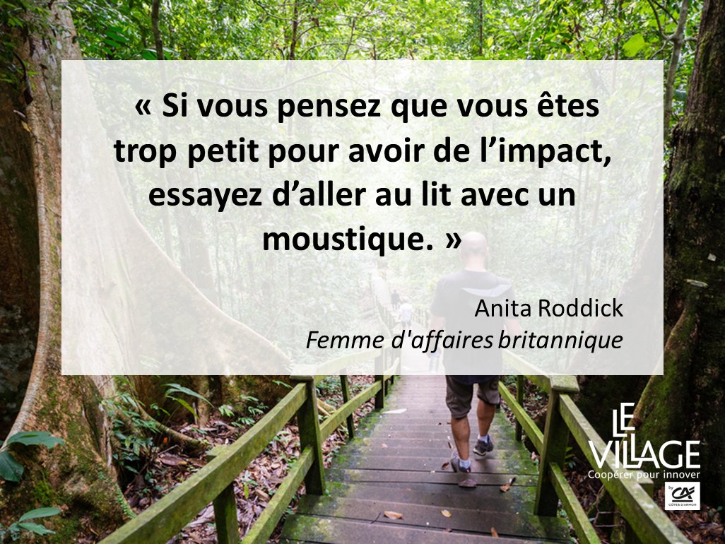 La citation du jour ! #entreprendre