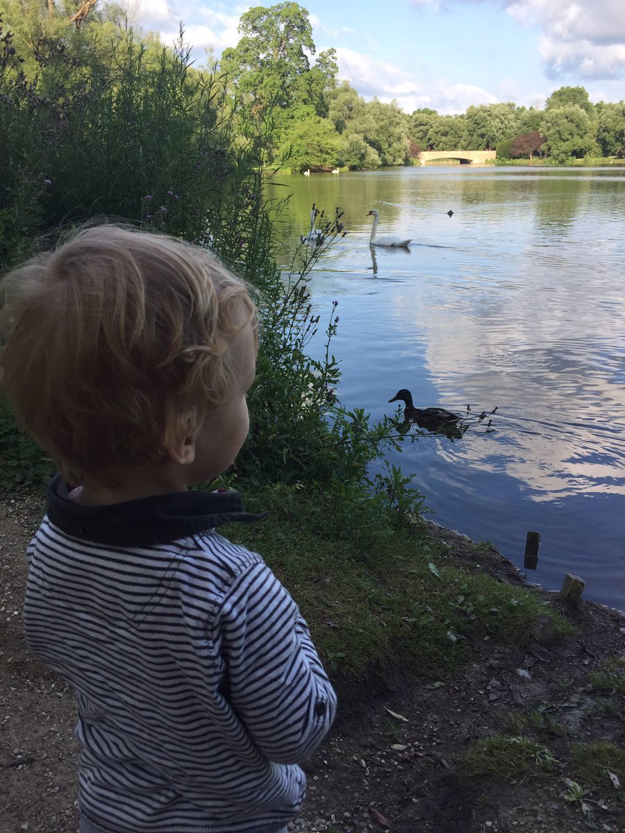 I'm posting reviews for Stratford again! This year they're on Facebook. m.facebook.com/TheStratfordRe…