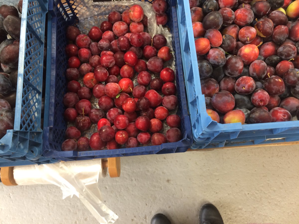 Bushel Box Farm Shop tweet media