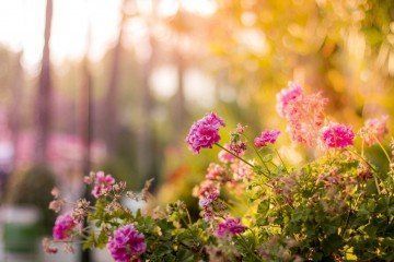ConsciousPanda_'s tweet photo. #FengShui Vision Board https://t.co/jAxIcrUqAN #selfimprovement #chi #holisticspaces #energy #selfhelp #universe https://t.co/64ianlSdX4