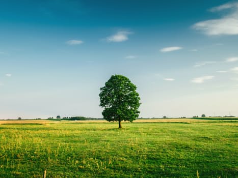 T&C Printers (@tandcprinters) on Twitter photo Looking for a #green #printer? We source environmentally-friendly paper and inks to help you as well as us meet our green responsibilities. Looking for a #green #printer? We source environmentally-friendly paper and inks to help you as well as us meet our green responsibilities.