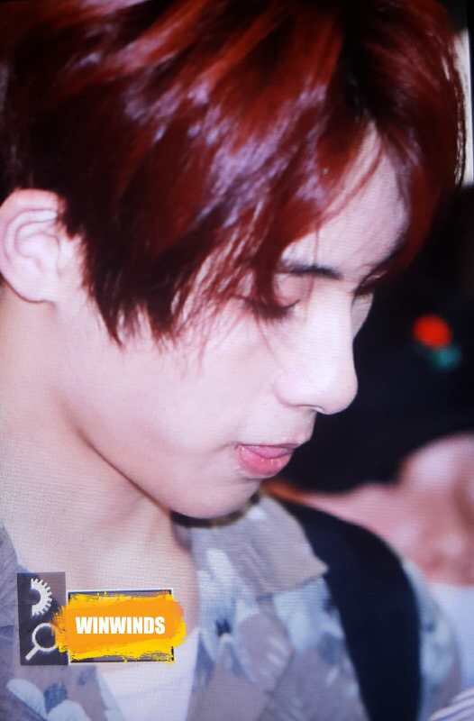 WINWINDS_C's tweet photo. 170726 GMP #WINWIN https://t.co/vFBx7fgWZF