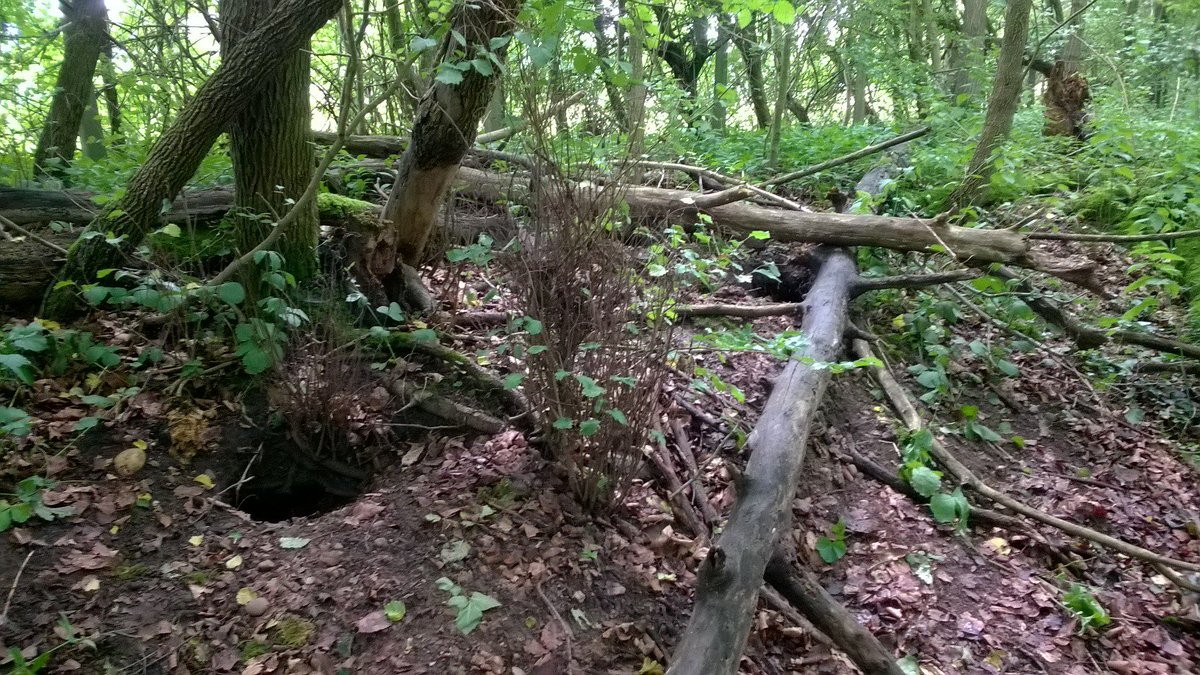 CE_Pea's tweet photo. Finding plenty of badger evidence in some nice woodland in Nottingham #PAASvy https://t.co/kvSUNxbAlZ