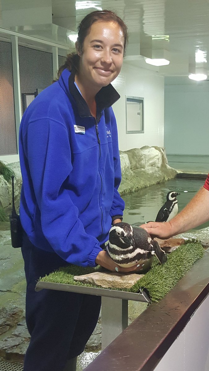 ted_bolen's tweet photo. #2 - We had an awesome meal at the Shark Encounter!!  Then off to our tour. Our Guide even treated us to extra secret locations! https://t.co/9mBseQh8by
