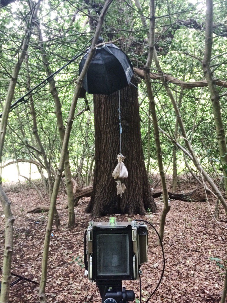 dannytreacyuk's tweet photo. Back in what Marion Shoard referred to as the Edgelands.
.
.
#newwork #edgelands #landscapephotography #marionshoard https://t.co/g7RHMBkLM1