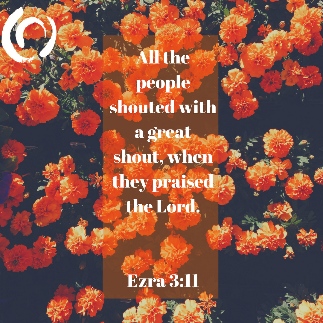 CCCinfoorg's tweet photo. All the people shouted with a great shout, when they praised the Lord.

Ezra 3:11 #CCCinfo #TheBible https://t.co/GgwaQ1hge8