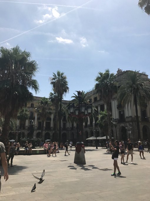 I'm at Pla&ccedil;a Reial in Barcelona https://t.co/KBBfsD6bte https://t.co/IYIMkPEips<a href="/tag/a4latam"class="tags"><span>#a4latam</span></a>