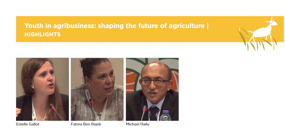 brubriefings's tweet photo. See the main conclusions about #BB49 regarding #Youth in #agribusiness: shaping the future of #agriculture at: https://t.co/jfuzNHro96 https://t.co/393ZgP7Fzs