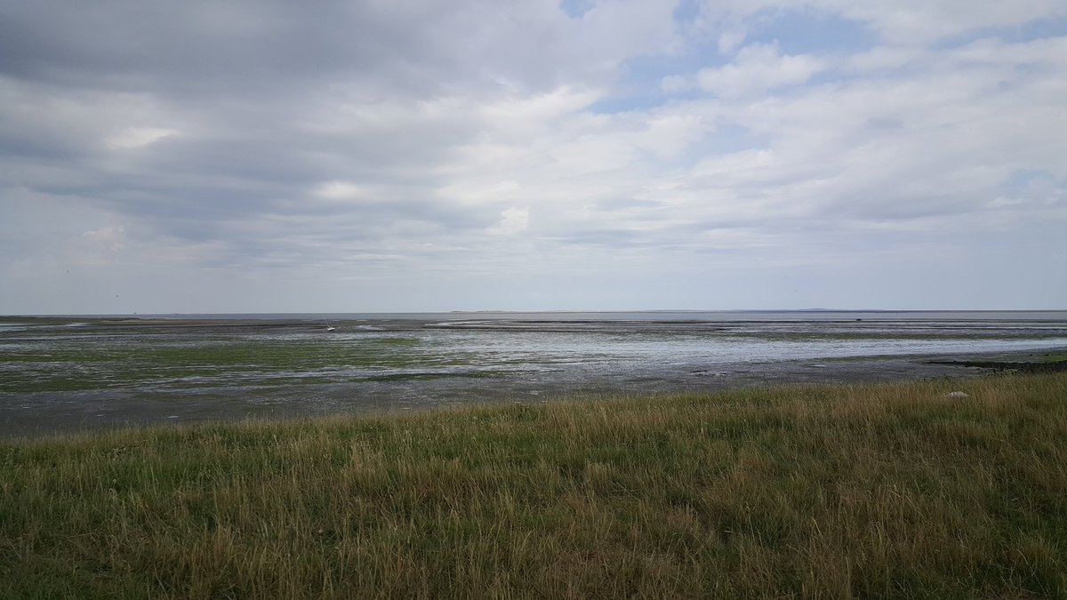 smakelijkenmeer's tweet photo. Ga je om 17.30 uur mee op #Oestertocht #Oesters #Bubbels &amp; Meer @VVV_TexelTips info &amp; opgave 0612808495 #Tecel https://t.co/BvHjJy8f6U