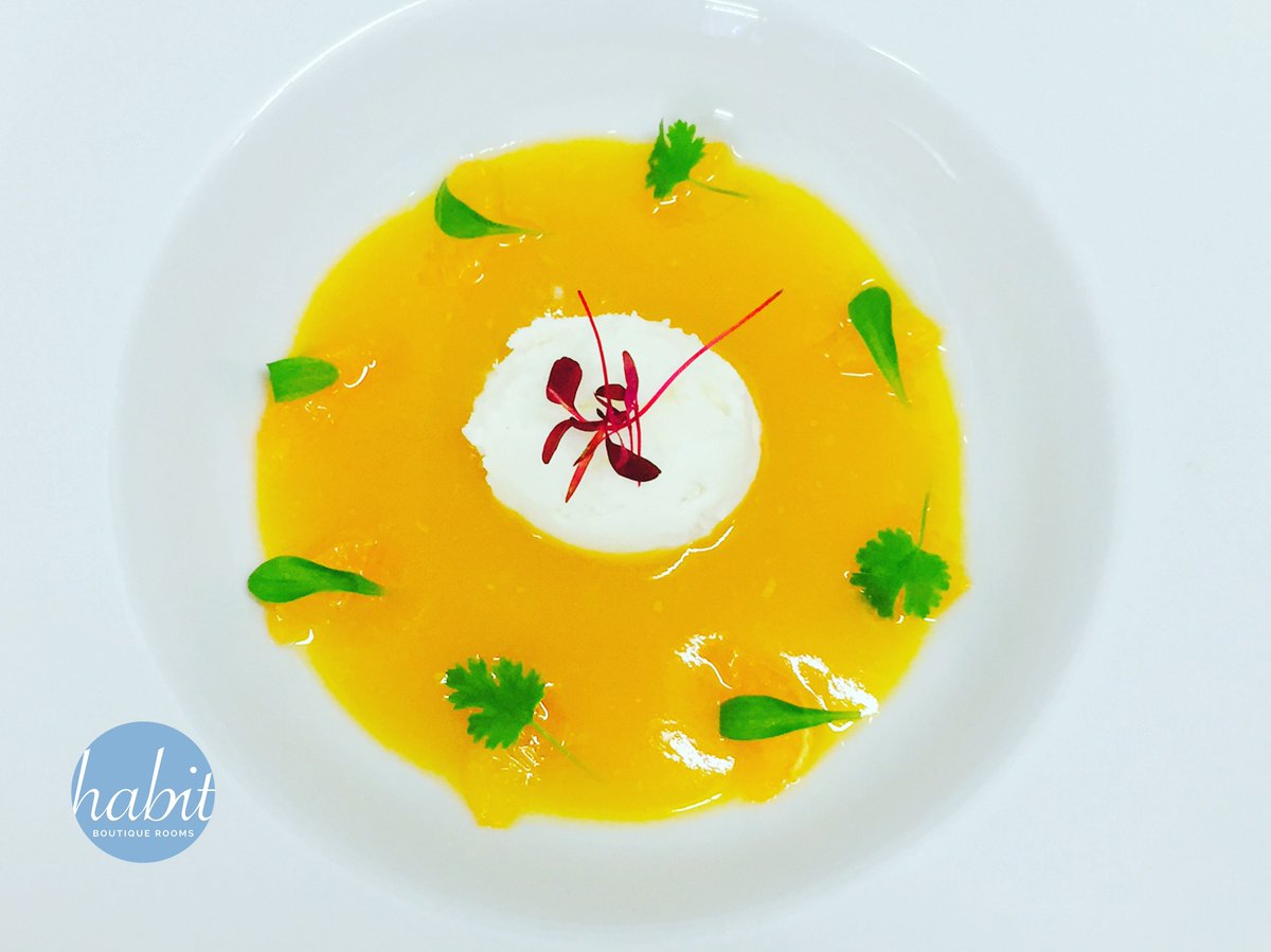 Apricot Soup, Homemade Yogurt Ice Cream, Satsuma #devon #food #ilfracombe #soup #icecream