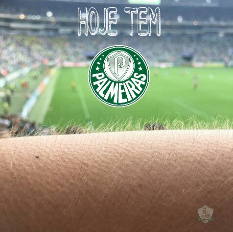 GreenPorcoSEP's tweet photo. ÉÉÉ HOOOJE 🐷👏💚

#CRUxPAL #COPABR #4FINAL https://t.co/sbdxU6yOc5