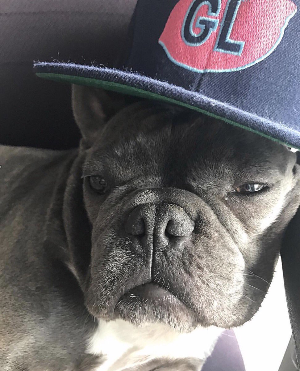 hump day got us feelin' like 😒 Lucas says the only thing keepin' him going is going to green lemon 😉🌮| #eatgreenlemon