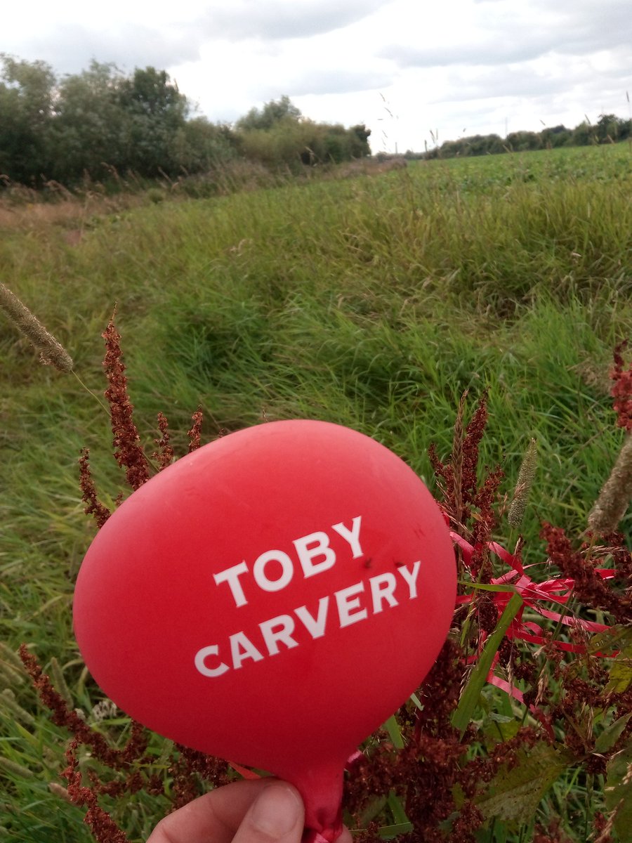 CatieGR's tweet photo. @tobycarvery balloons at bank of River Severn in Worcester. Luckily I binned them before they became a hazard to wildlife @DontLetItFly https://t.co/YuC9NZkaTG