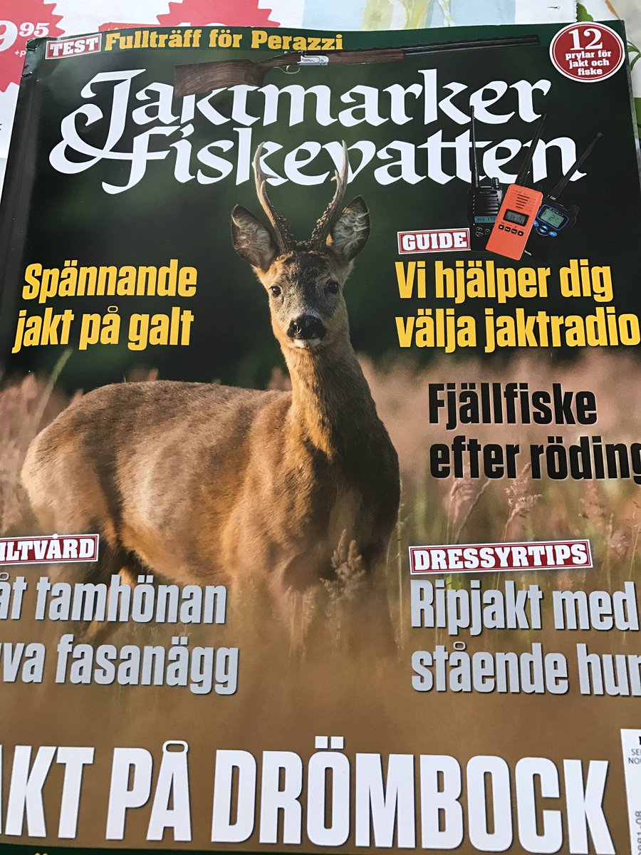 Daniel Hjort tweet media