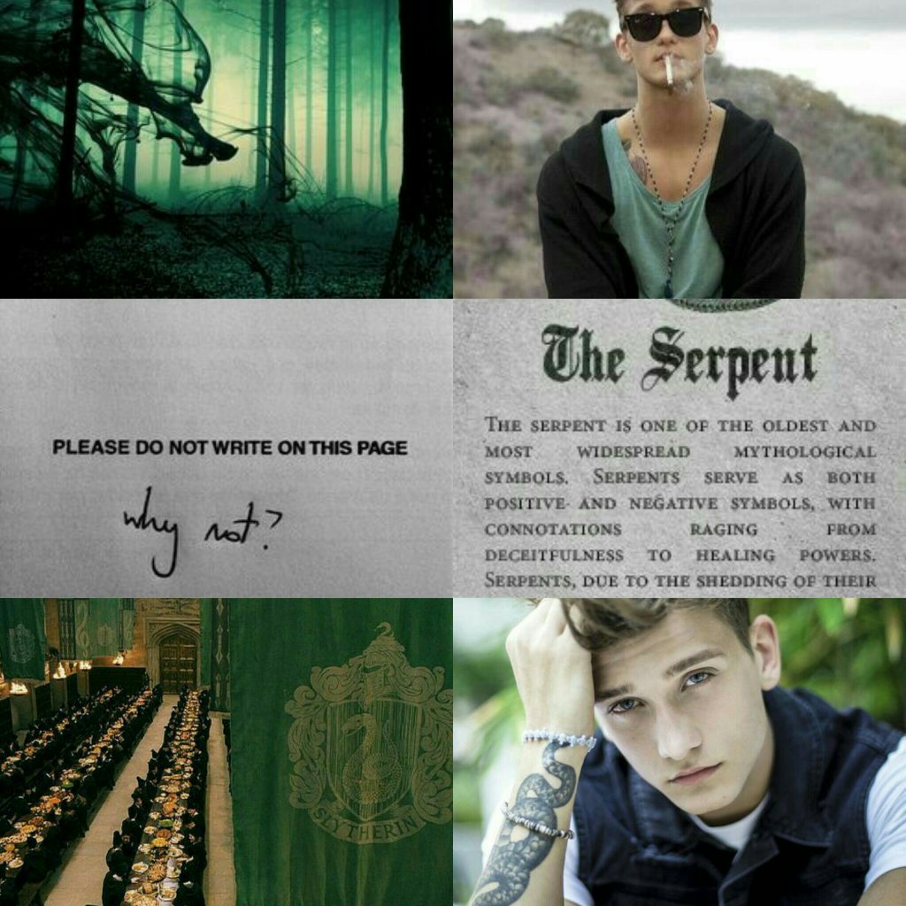 [Theodore Higgs] 
•XVIII 🔞
•Sangre Pura 💉
•Slytherin 🐍
•Mortífago💀

         ¿Un RT para darme a conocer?