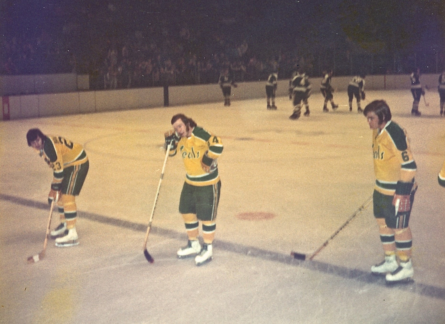 california golden seals roster