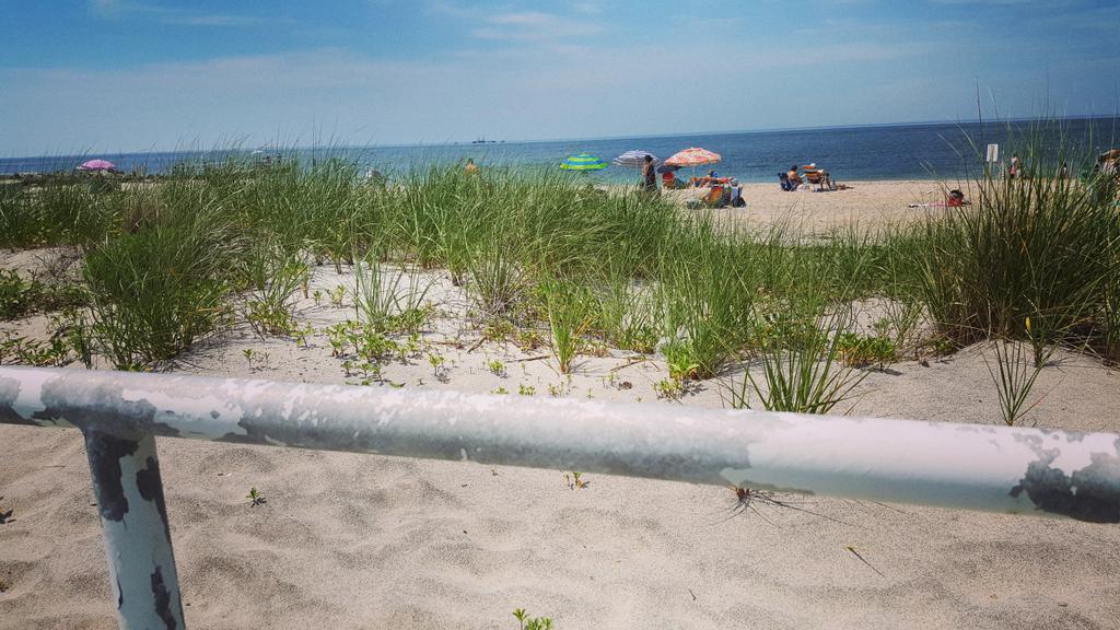 North Fork Gift tweet media