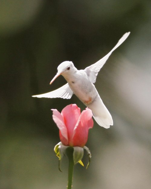 Ava_Av9's tweet image. Hello my dear friends 🌹🌹🌹
@ali33322216 @myall3000 @ZEPUR777 @akpolyme  youtu.be/BxuY9FET9Y4