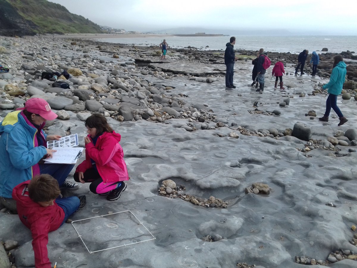 FossilBlitz's tweet photo. Weather has brightened up! The #fossilblitz has started. 4 quadrats so far and more to come! https://t.co/KLkalqogYM