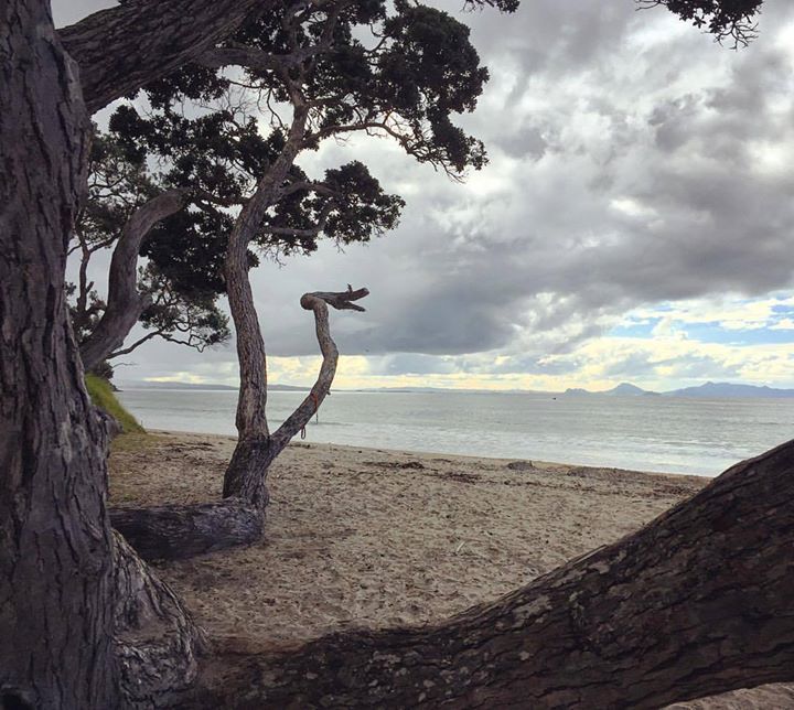 nabeellahmed's tweet photo. Langs beach, Northland. #newzealand #nature  #langsbeach https://t.co/aMxthLkB64