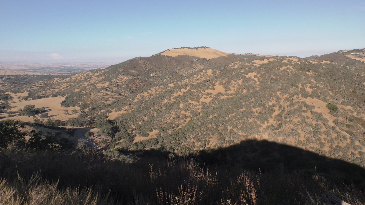 discodantheman's tweet photo. Lots of glassing. Spot & stalk. No calling/bulls grouped up. Little Tule movement except early & late due to extreme heat. #Tule #InUrBlood https://t.co/3OwzUNzR5V