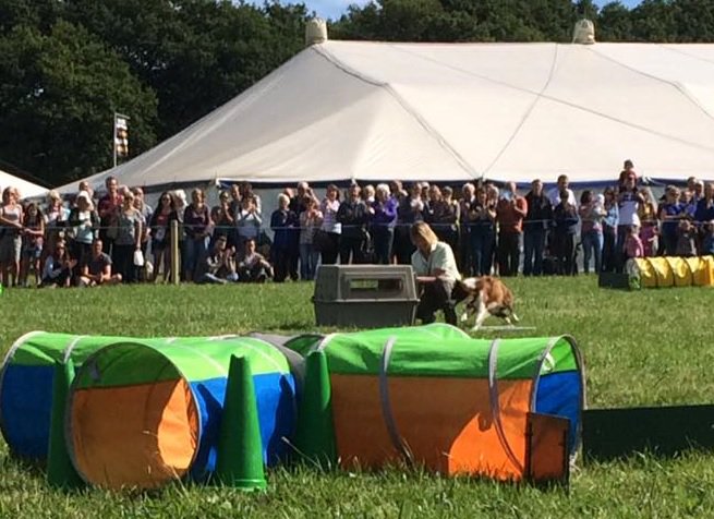 Replacement local St Food stall &amp; jam stall wanted for Countryside Show Beacon Hill LE12 8SP Bank Hol Mon 28 Aug E: Sallie info@emme.uk.com