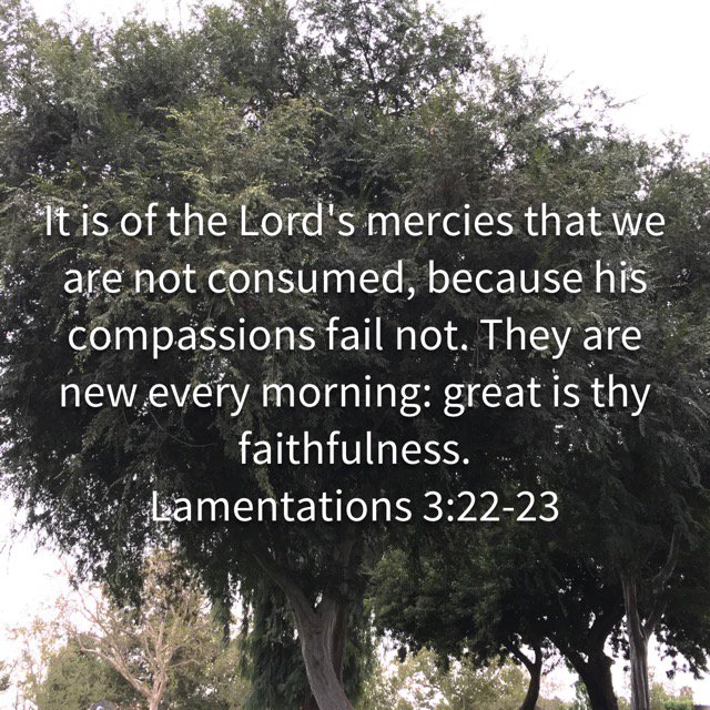 ROMMELTILANO's tweet photo. #GreatIsThyFaithfulness #GodIsGood #JesusSaves @whoELSE_butme @amyalllove  https://t.co/6cOK13jNkD https://t.co/xqERLDMg0n