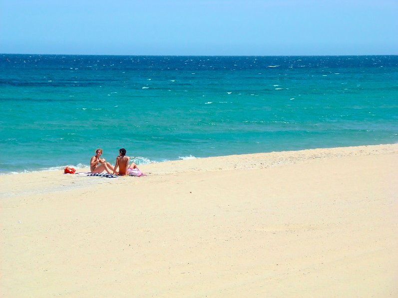 c_valenciana's tweet photo. El verano en Elche es de este color @visitelche @costablancaorg #MediterráneoEnVivo https://t.co/qZgOFcd6uo