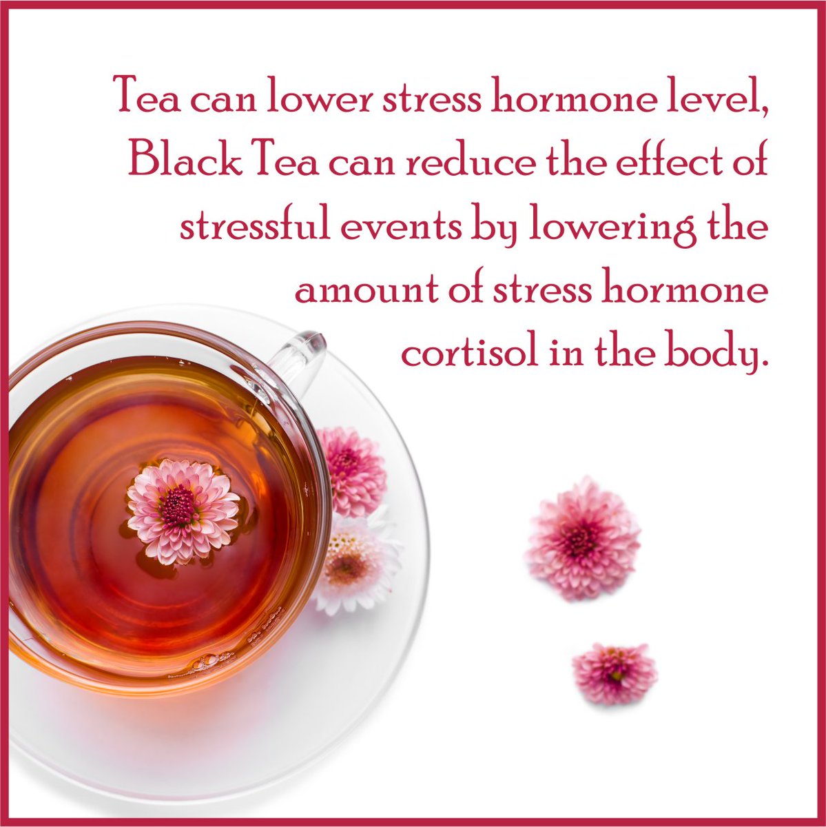 GoldenTipsIndia's tweet photo. #Drinkingtea #traditionally #stressrelief #everydaylife @GoldenTipsIndia https://t.co/Hz6wiy3zH0