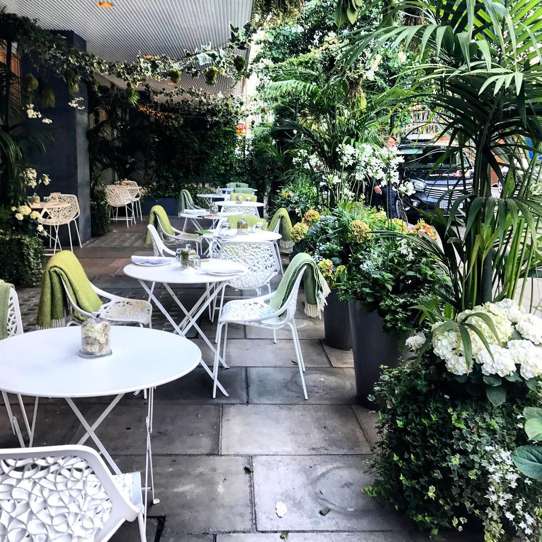 SandersonLDN's tweet photo. Summer is in full swing, and so is our beautiful Berners Terrace https://t.co/2Iv3nkXiLX 
(📸 by @LondonWebGirl ) https://t.co/LtQFL9qxP6