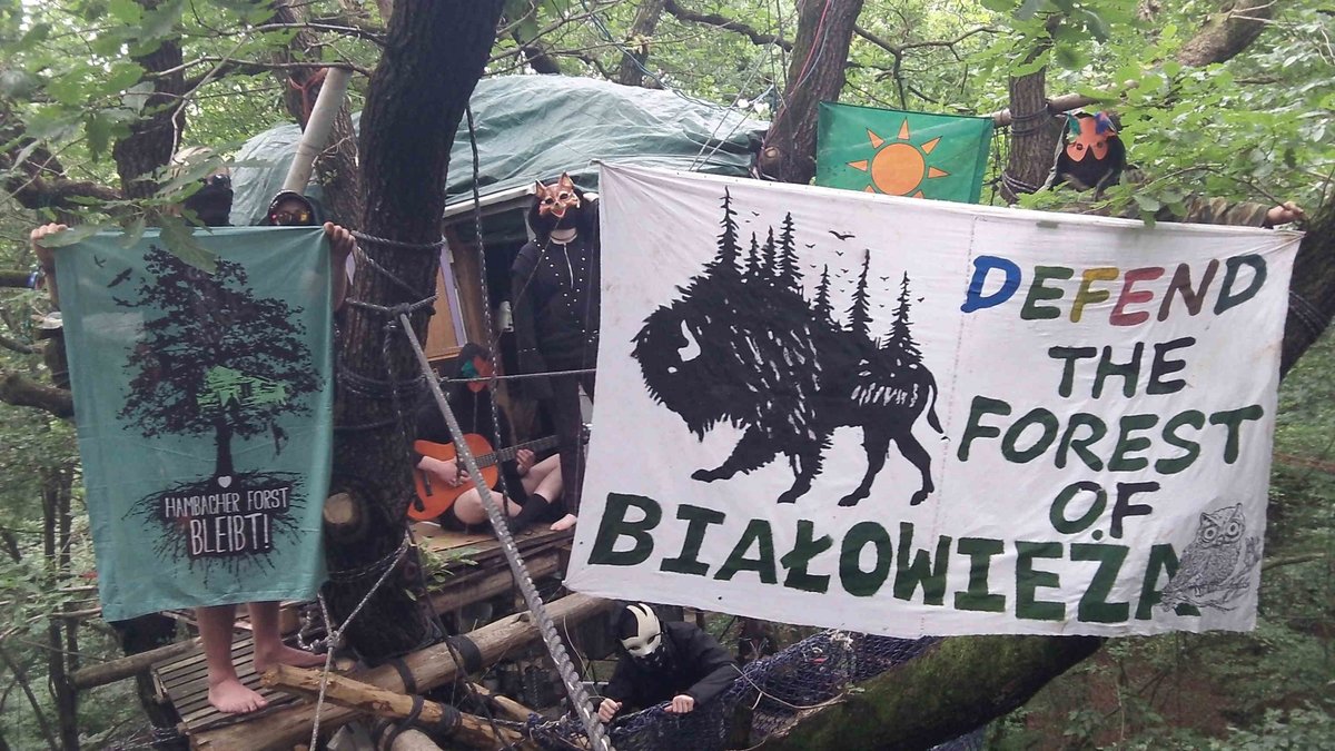 JusHambi's tweet photo. #Solidarity to #Bialowieza  #Puszcza from #Hambacher #Forest #Resistance to #extractionism and #habitat #climate #destruction by #RWE  #coal https://t.co/ej57m7vnUh