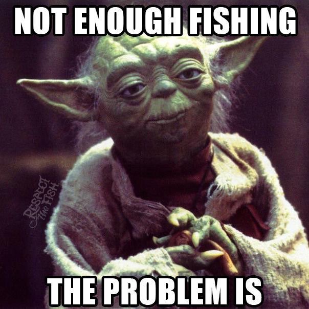 #WednesdayWisdom #fishing #Fishouflage #StarWars #Yoda