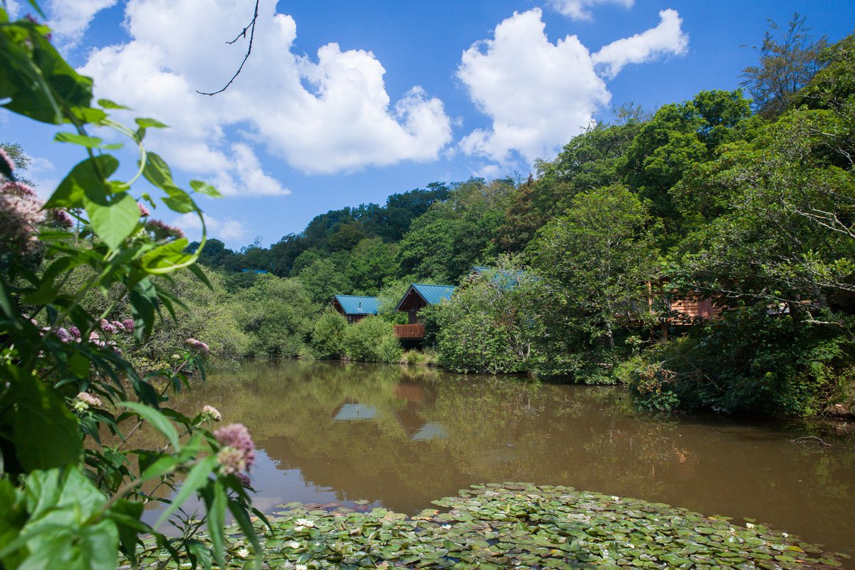 forestholidays's tweet image. Want to explore Cornwall? Our team at #Deerpark enjoy great relationships with surrounding attractions, shops, cafes, restaurants and pubs