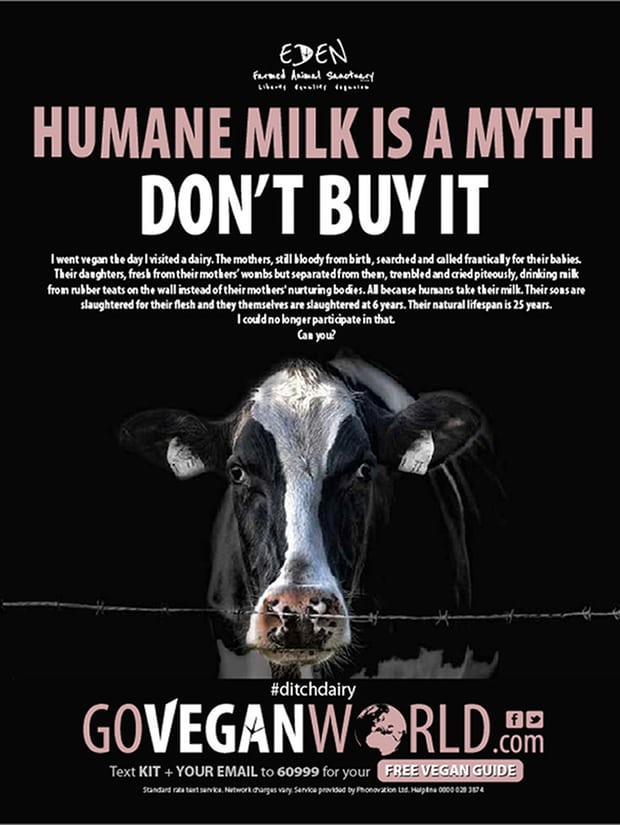TheVeganSociety's tweet image. Yay! @Go_Vegan_World won against the #dairy industry -their claims that this ad was misleading were unfounded theguardian.com/lifeandstyle/2… #vegan