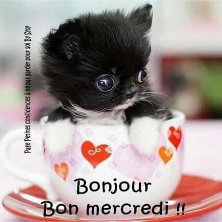 Mary_Zarifah's tweet photo. #good_morning #Bonjour #Bonne_journée
#happy_Wednesday #Happy_day #26july2017
#صباح_الخير🌸🌸 #صباح_السعادة🌸🌸
#بنت_المسيح https://t.co/Xyr801fBkS