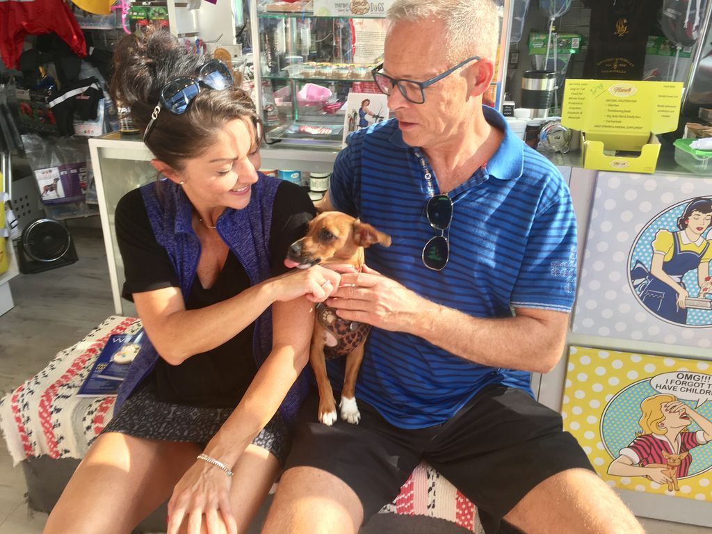neopaws4pets's tweet photo. A place to come and experience love #neopaws #puppylove #daschumd #jackrussellterrier #CHIHUAHUA https://t.co/BYjsYLVOkk