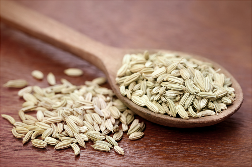 FudcoUK's tweet photo. Have you tried our Mint Fennel Seeds? They're premium quality and very refreshing! https://t.co/lBPrllslJ1