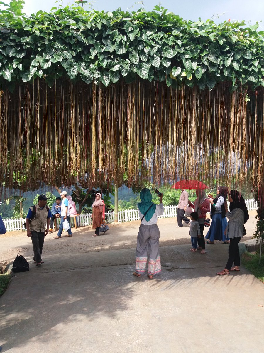 seemia_'s tweet photo. #desawisata #PasirKirisik #Puteran #Pagerageung #Tasikmalaya https://t.co/aT3fymB3mm