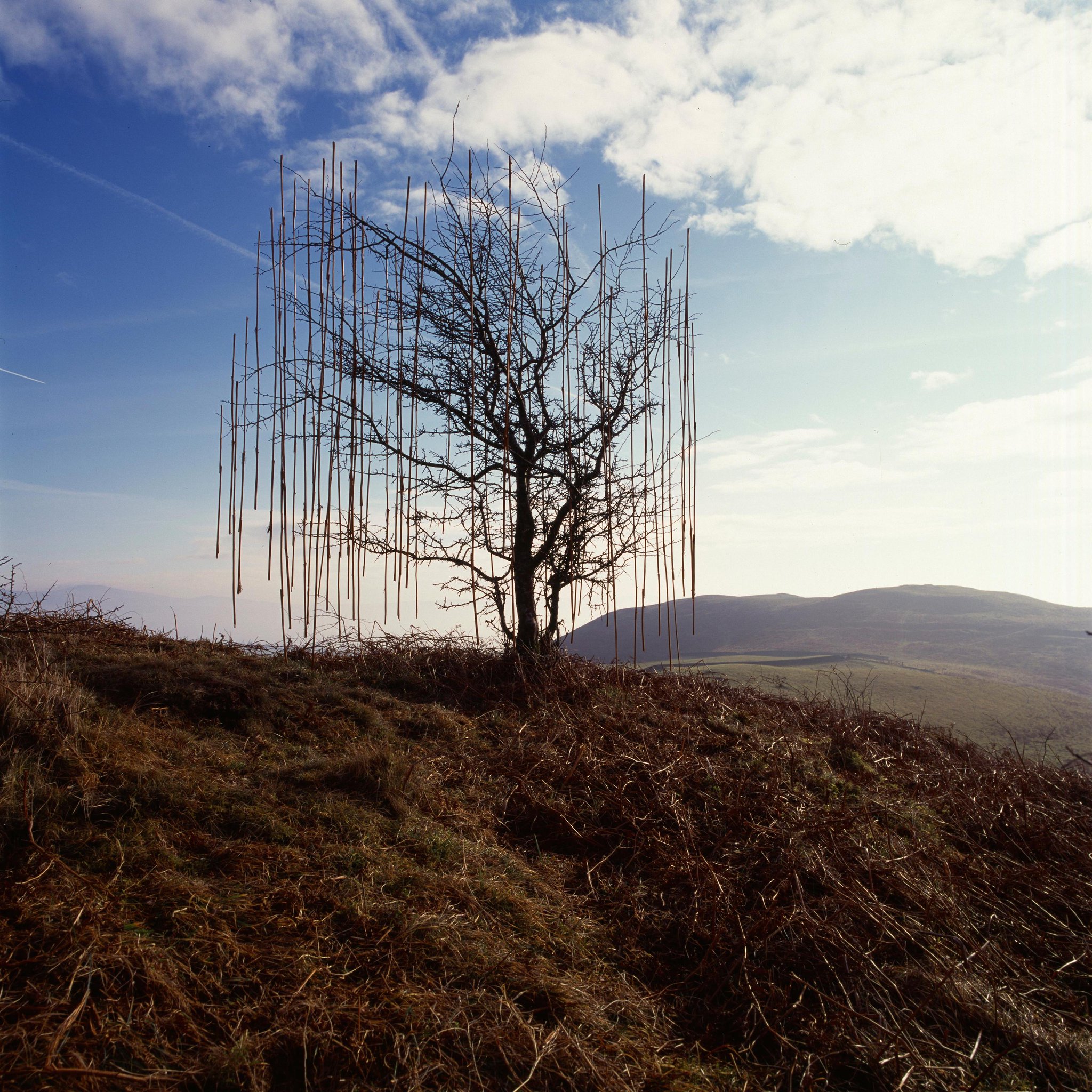 Happy Birthday to the master of Land Art, Andy Goldsworthy:  