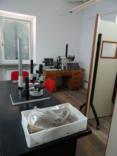 CNRsocial_'s tweet photo. Anche quest’anno l'Ic #Cnr partecipa alla campagna di scavo #archeologico a #Crustumerium. Online su @SkylineWebcams https://t.co/s1EKXPvEIX https://t.co/UtsUenMGG9