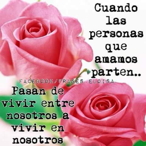 ZCoQui19's tweet photo. @solesoto  Mi más sentido pésame, Sol por la partida de tu querido papá a Morar con el Señor. Que En Paz Descanse. Abrazote❤ 🙏🙏🌻 https://t.co/NsBkT5qhA9