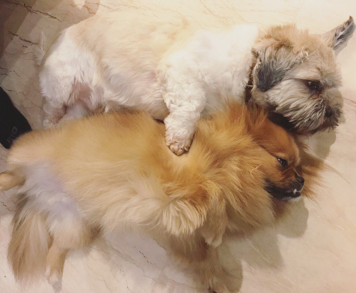 Cuddle buds for life 💖